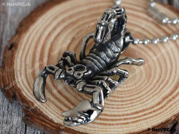 Collier et pendentif en acier - Scorpion 