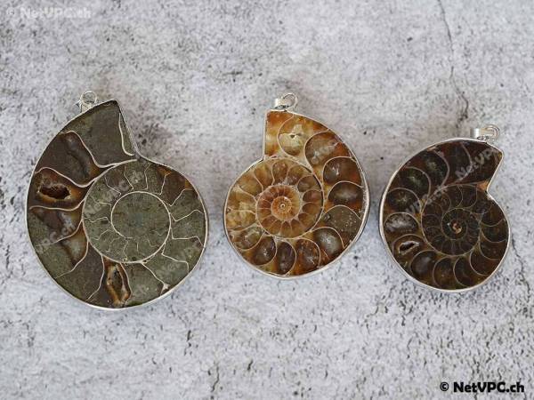 Collier pendentif Fossile d'ammonite 